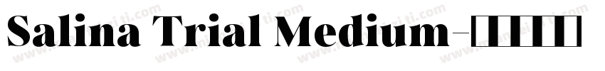 Salina Trial Medium字体转换